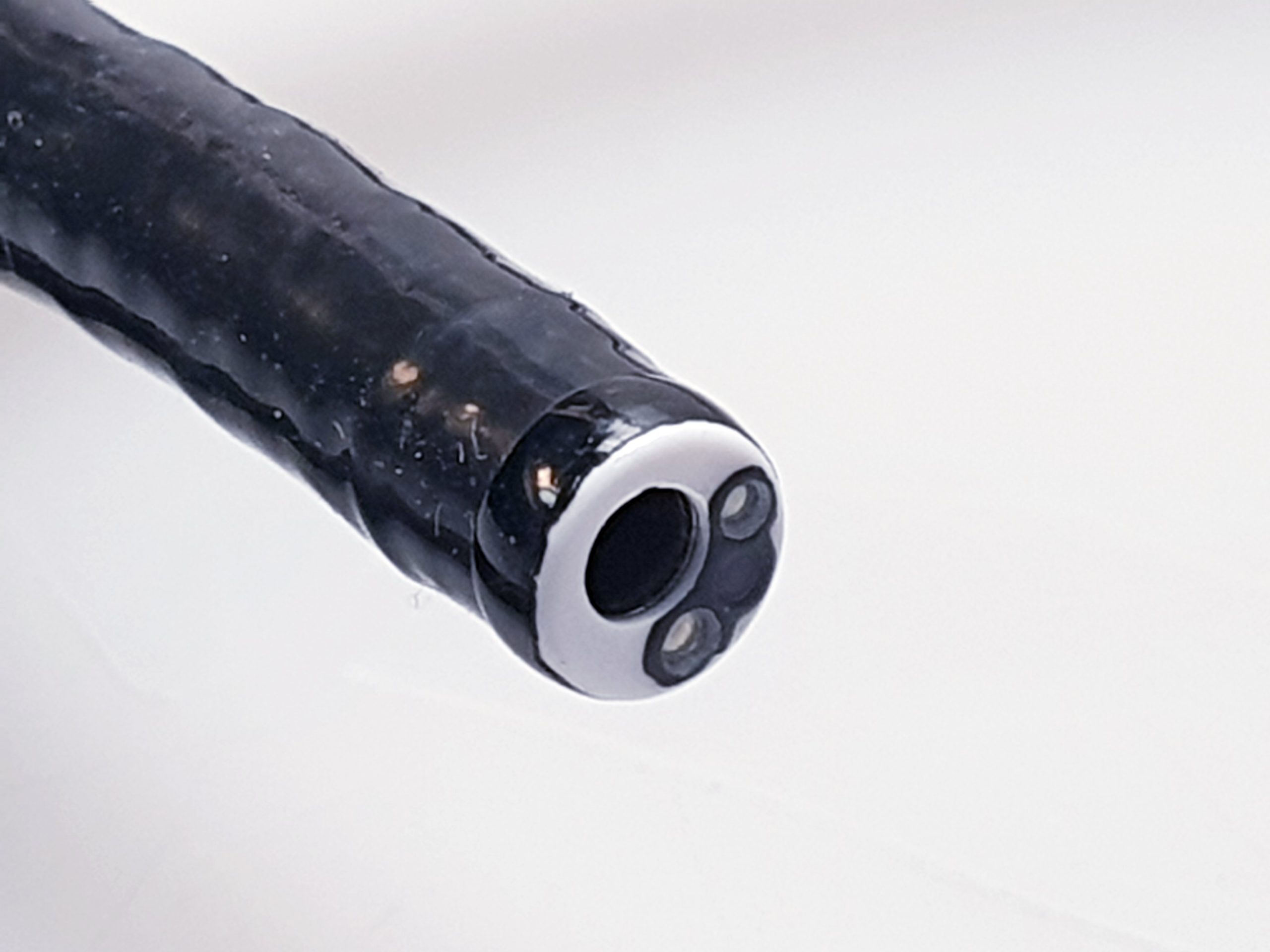 Olympus BF Type 1T40 Bronchoscope, Bronchoskopy thumbnail 14