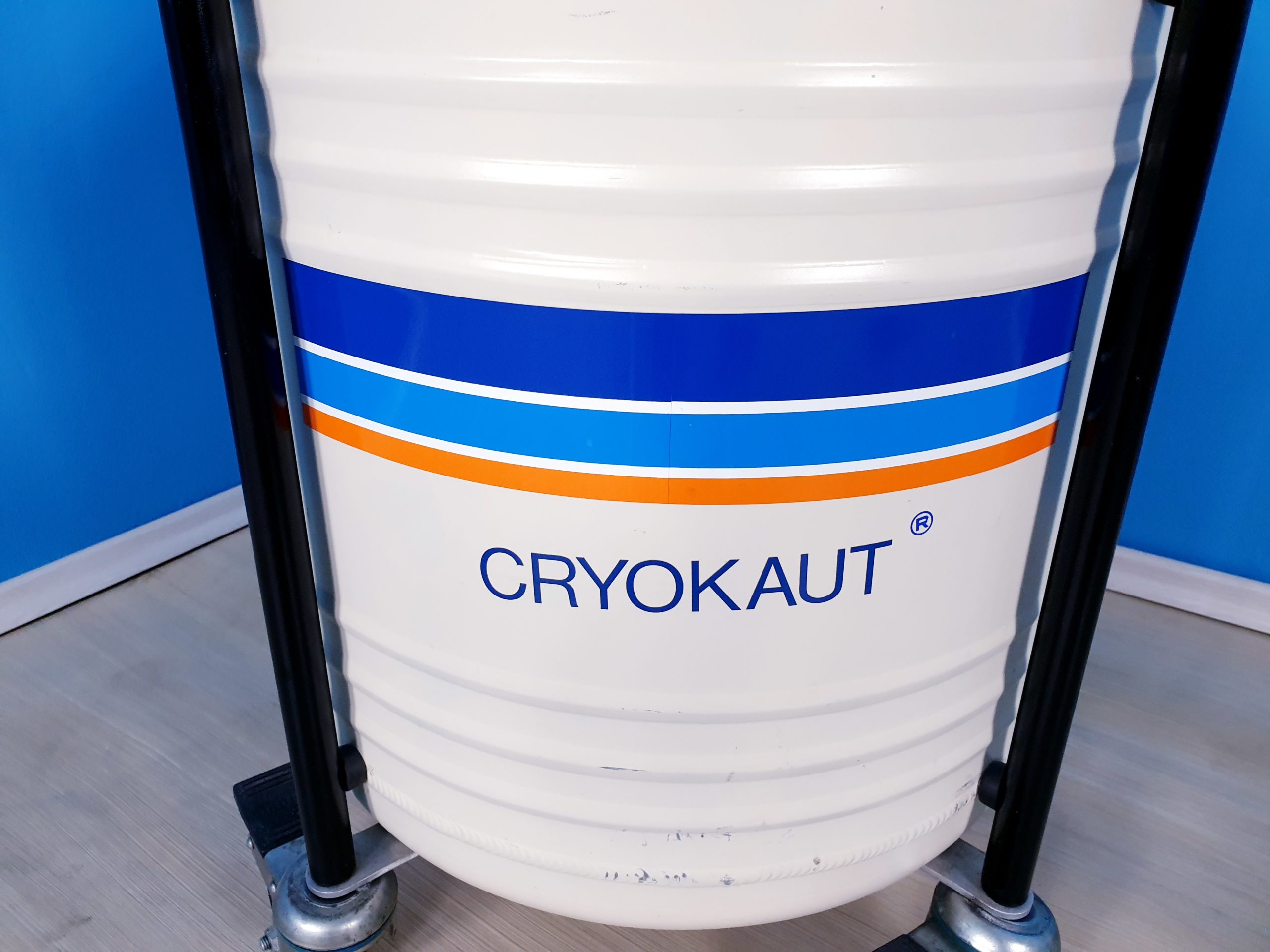 Griesheim CRYOKAUT 30 Stickstoffgefäß Behälter thumbnail 2