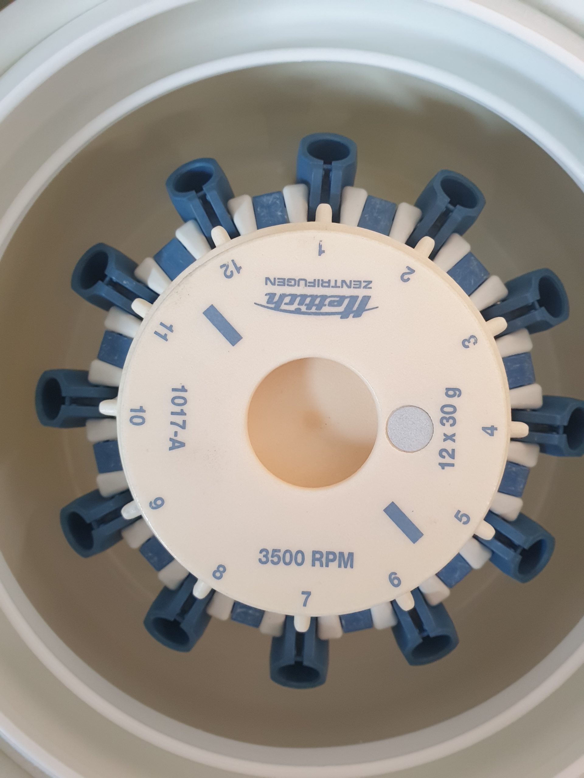 HETTICH Rotolavit cell washing centrifuge Zentrifuge — image 1 of 6