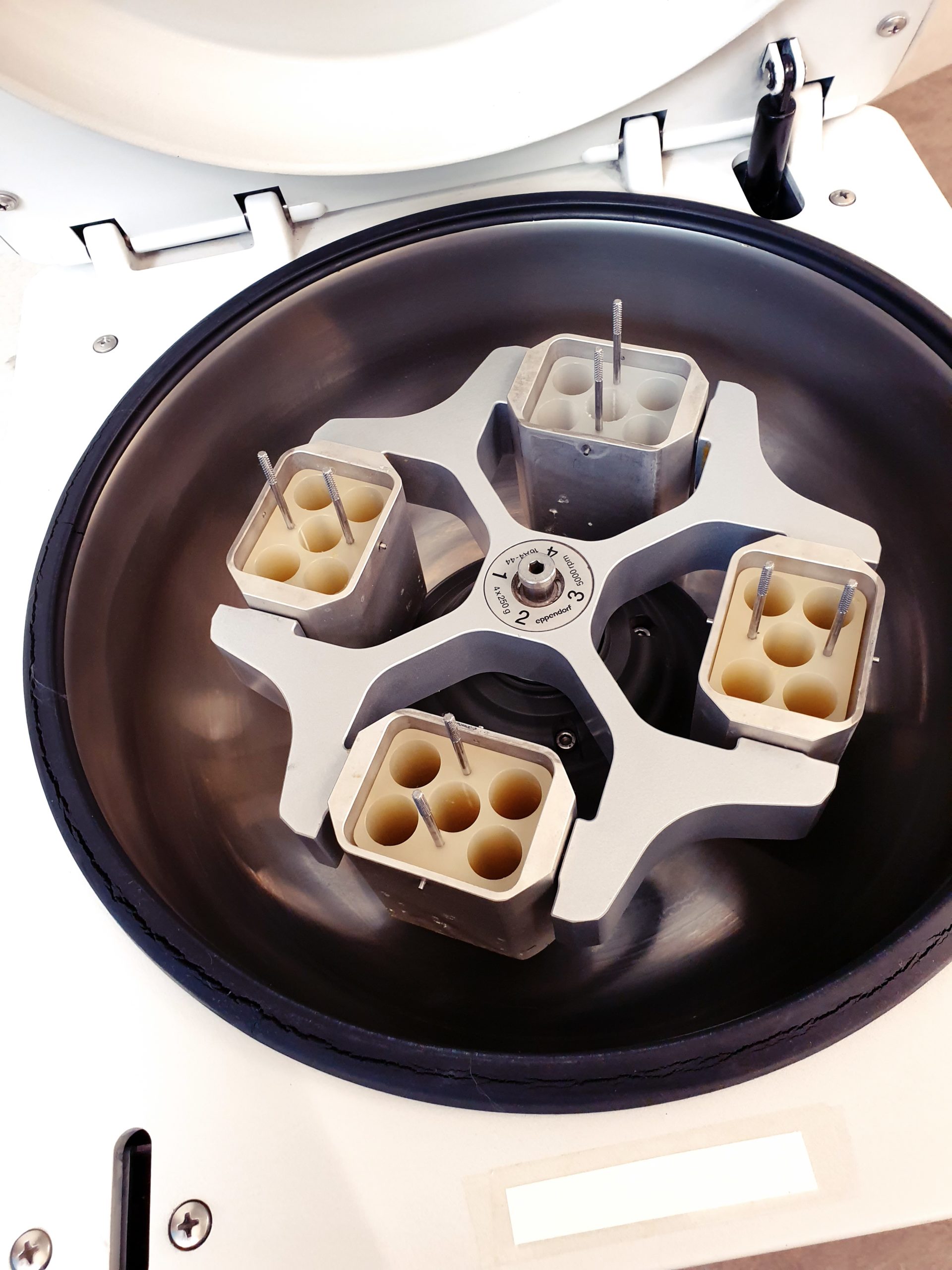 Eppendorf Zentrifuge Centrifuge 5416 – 4 x 250 ml – — image 1 of 11