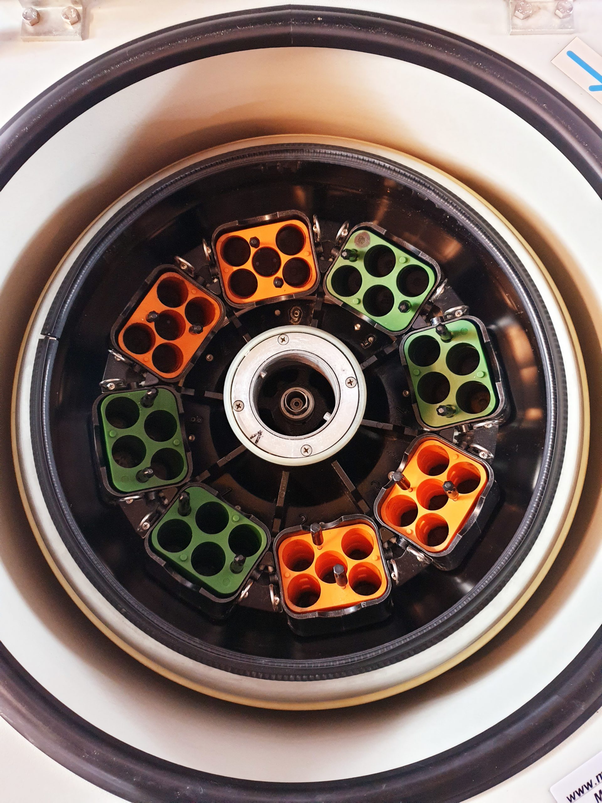 HERAEUS SEPATECH VARIFUGE F Kühlzentrifuge mit Rotor thumbnail 6