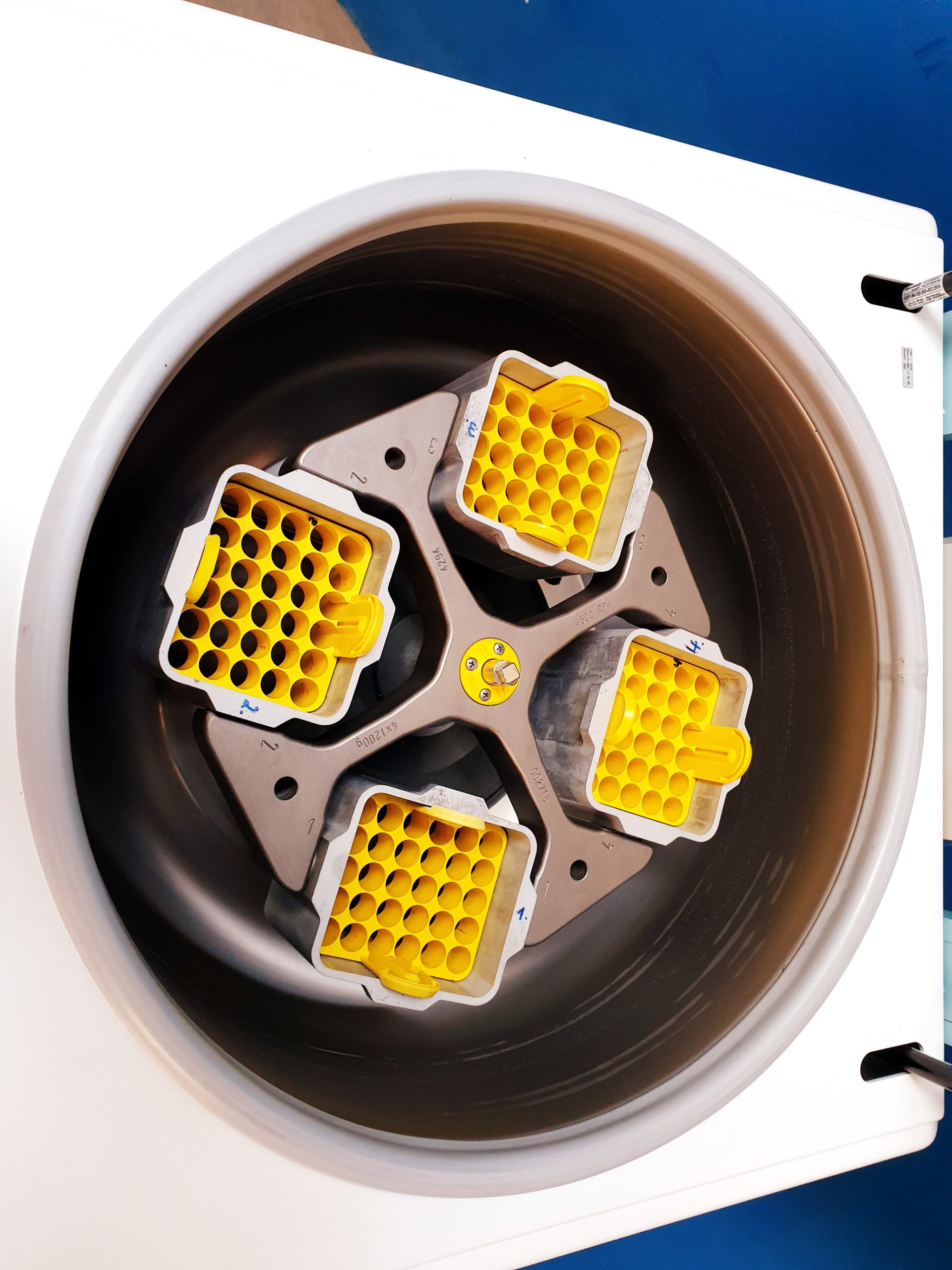 Hettich Rotixa 50 RS Kühlzentrifuge Refrigerated Centrifuge – Fahrbar thumbnail 6