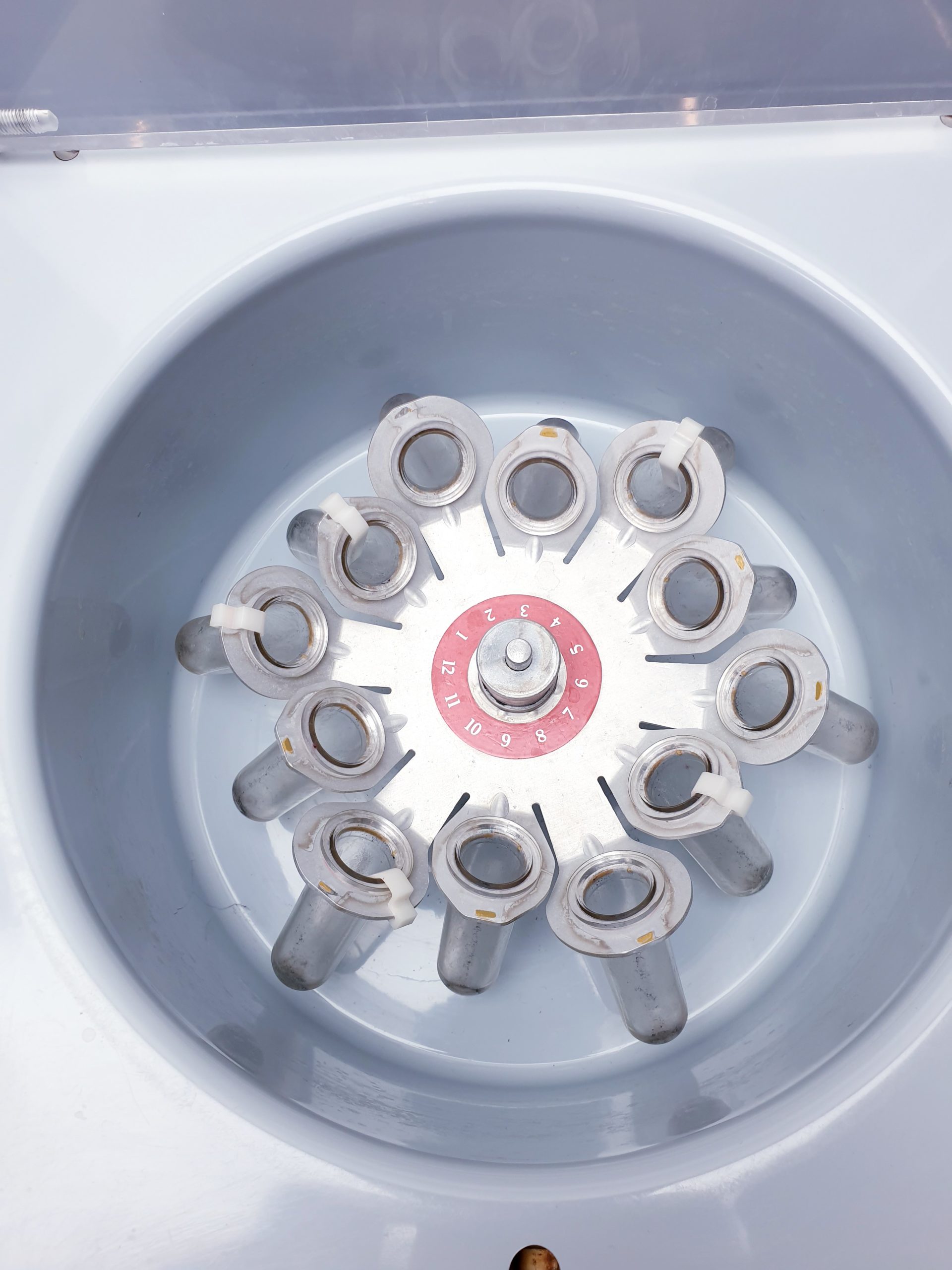 Moltronic Petalfuge I Zentrifuge – DEFEKT thumbnail 3