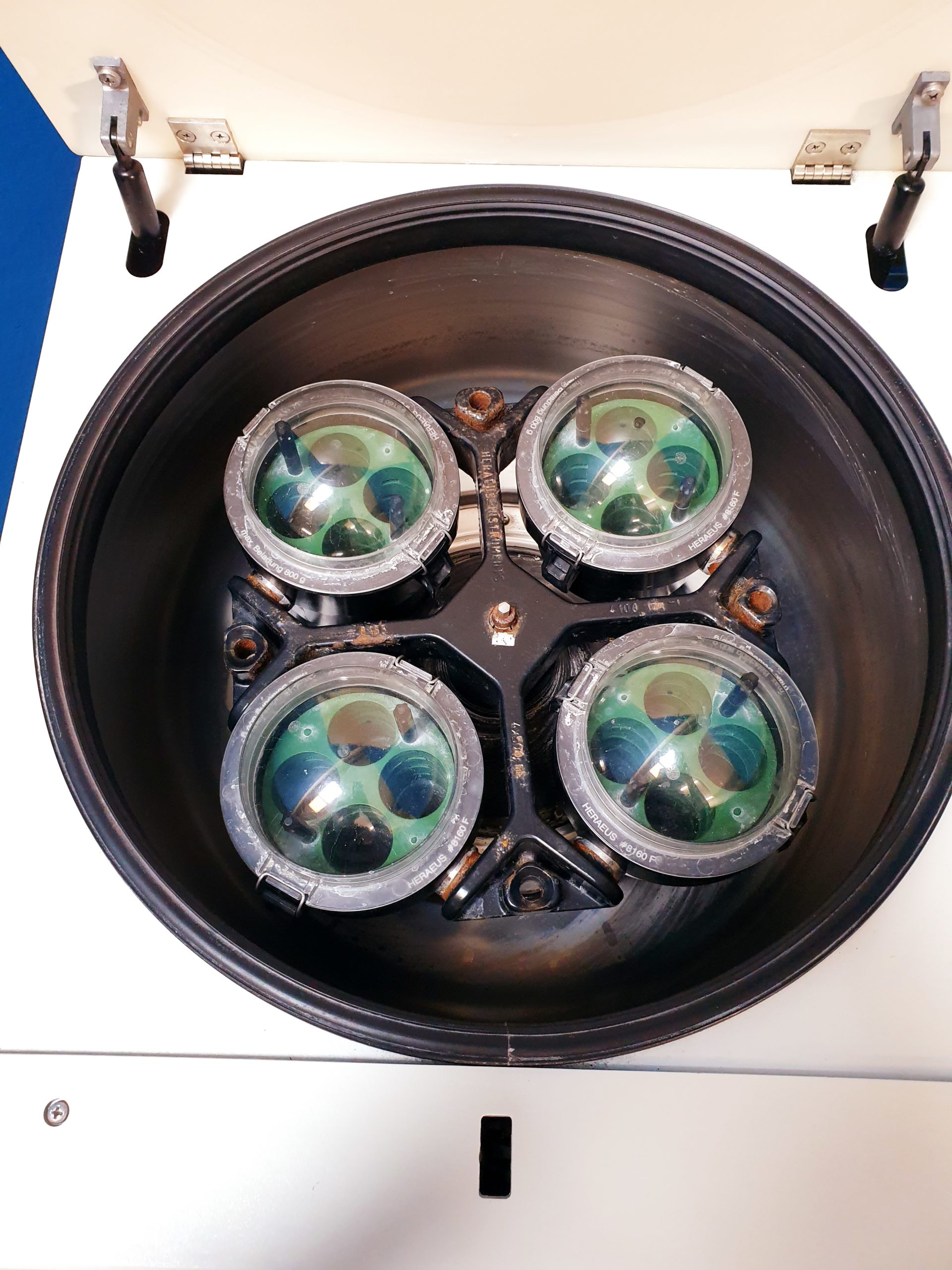 Heraeus Megafuge 2.0R Kühlzentrifuge – Zentrifuge — image 1 of 9