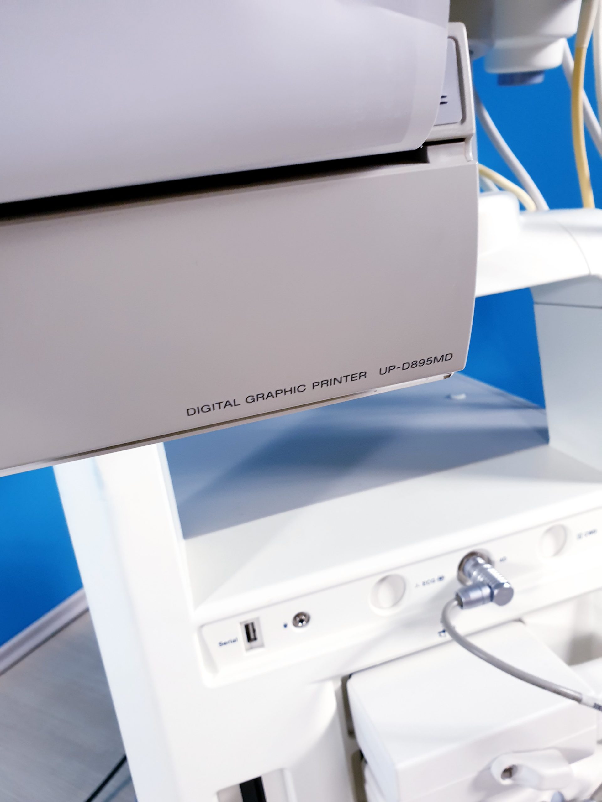 GE LOGIQ P5 Gynäkologie mit 3D/4D Sonde Linear, Endovaginal + Printer BT08 thumbnail 11