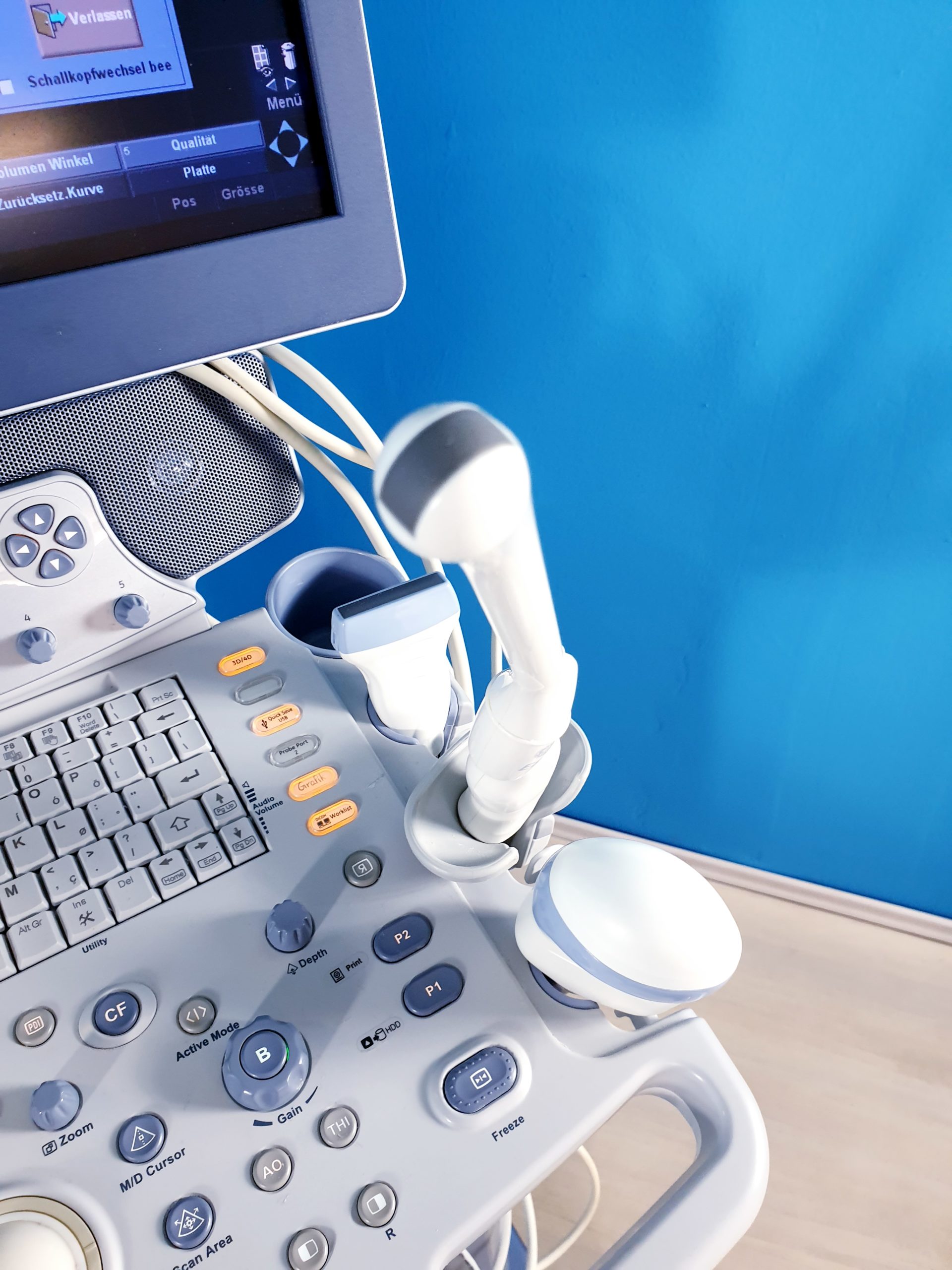GE Logiq P6 Powered by Voluson Gynäkologie mit 3D/4D Sonde Linear, Endovaginal + Printer thumbnail 6